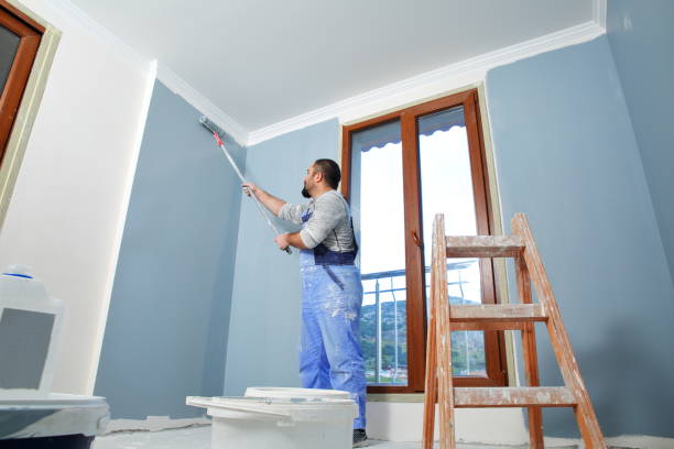 Best Drywall Sanding and Smoothing  in Round Lake Beach, IL